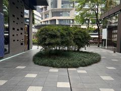 -成都博舍酒店