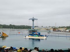 -秦皇岛乐岛海洋王国