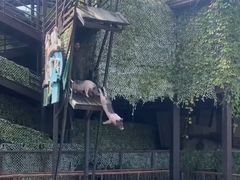 -长鹿旅游休博园