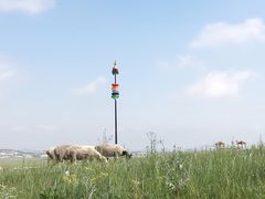 -塞罕坝国家级自然保护区