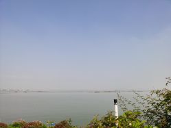 -水八仙生态园