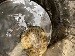 -宾湖农庄·农场特色(太湖龙之梦店)