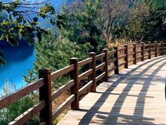 -九寨沟-树正沟