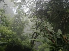 -七仙岭温泉国家森林公园