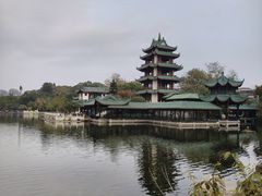 -桂湖森林公园