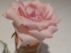-佐度王子扒房(西城红场店)