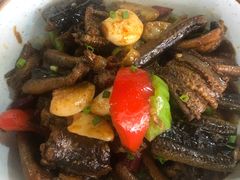 干烧洪湖土鳝鱼-小杨酒家(华苑小区店)