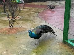 -杭州野生动物世界