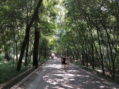 -灵谷景区
