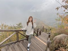 -大岭沟猕猴桃谷风景区