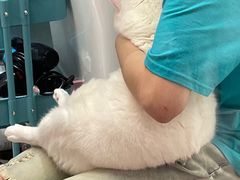 -FAELING PETS美天灵宠物(合生汇店)
