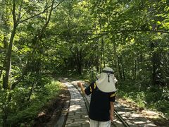-五营国家森林公园