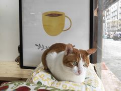 -W Coffee(船板巷店)