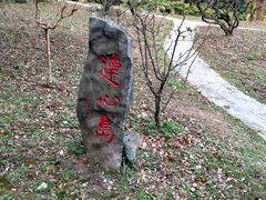 -紫霞湖公园