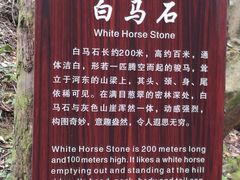 -少华山国家森林公园
