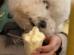 -去茶山(新光里店)