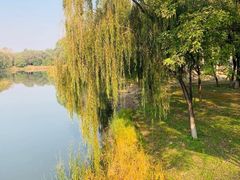 -奥林匹克森林公园北园-停车场