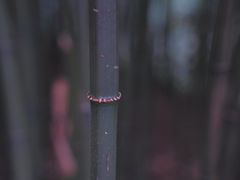 -常德桃花源景区