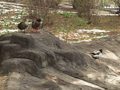 -中家鑫园温泉酒店鑫悦汤泉