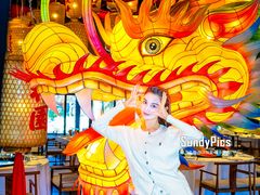 -禧宴Joyous Restaurant(禧园店)