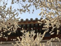 -雍和宫(地铁站)