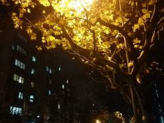 -上海市工商外国语学校