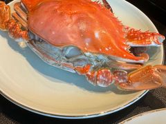 -浩运海鲜·16年专注青岛菜(石老人店)