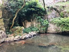 -灵隐飞来峰景区