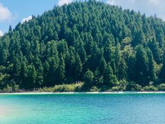 -武陵山森林公园