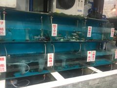水产区-高坎一品甲鱼庄(两河店)