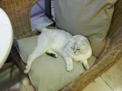 -MIKAKU(万达广场上海宝山店)