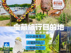 -济州森林小火车生态公园