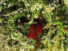 -斯多格书乡(北京大学畅春园店)