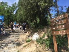 -阳台山自然风景区