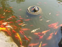 -成都川菜博物馆