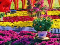 -沈阳植物园