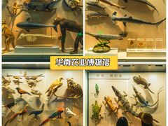-华农酸奶文化馆