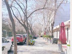 -三里屯东五街银杏大道