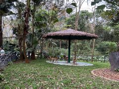 -海南热带野生动植物园