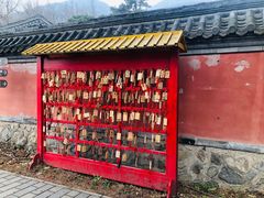 -阳台山自然风景区