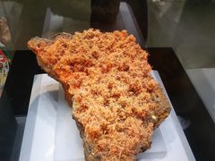 -湖南省地质博物馆