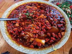 -青城甲(青城山店)