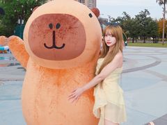 -海合安成都极地海洋公园