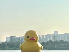 -深圳人才公园