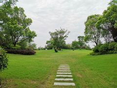 -上海崇明金茂凯悦酒店