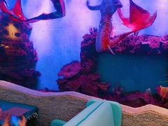 -瑞德姆美人鱼海底演艺主题餐厅(亚龙湾店)