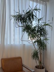 -飛凡TATTOO纹身•原创