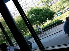 -凯德MALL(望京店)