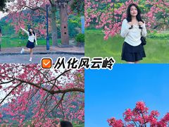 -风云岭森林公园