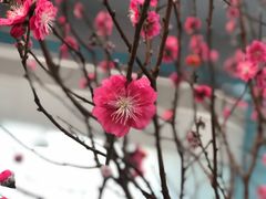 -福州长乐国际机场